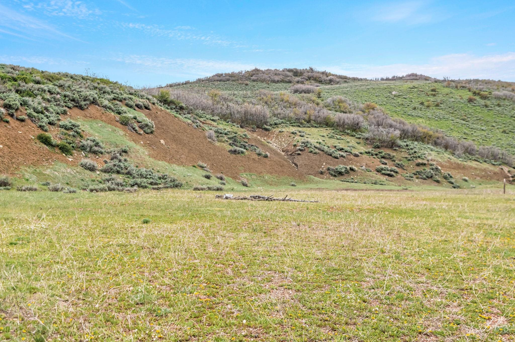 Tbd County Road 80 Property Photo 37