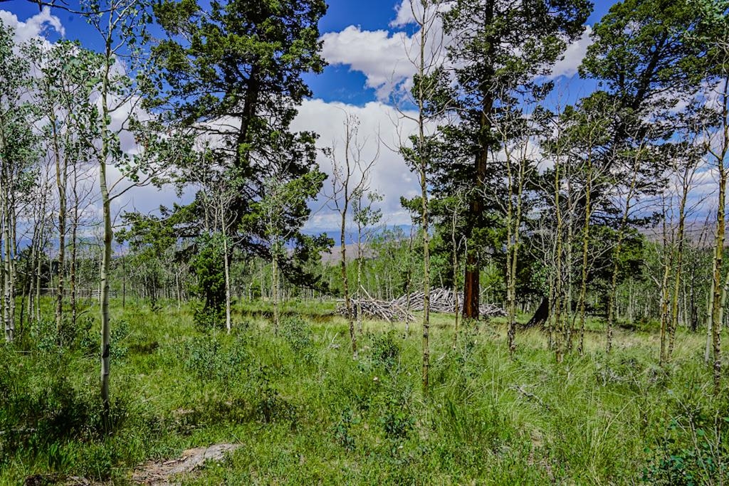 Tbd 1tt Road Property Photo 32