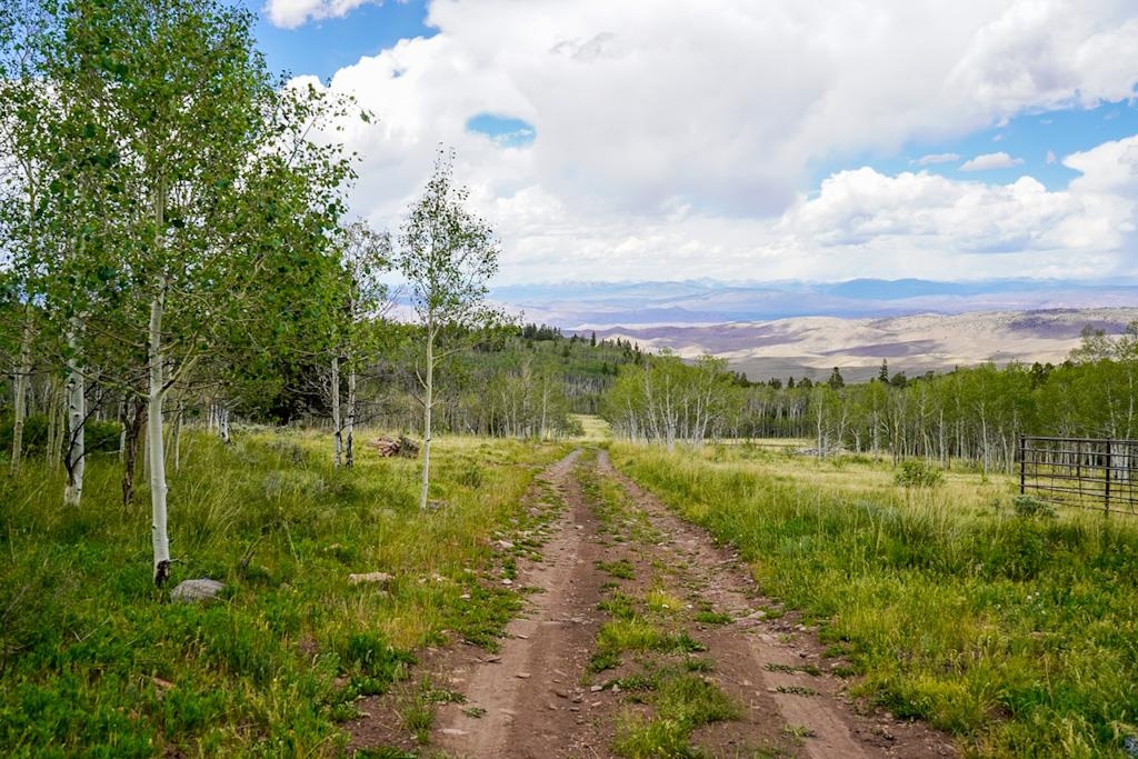 Tbd 1tt Road Property Photo 33