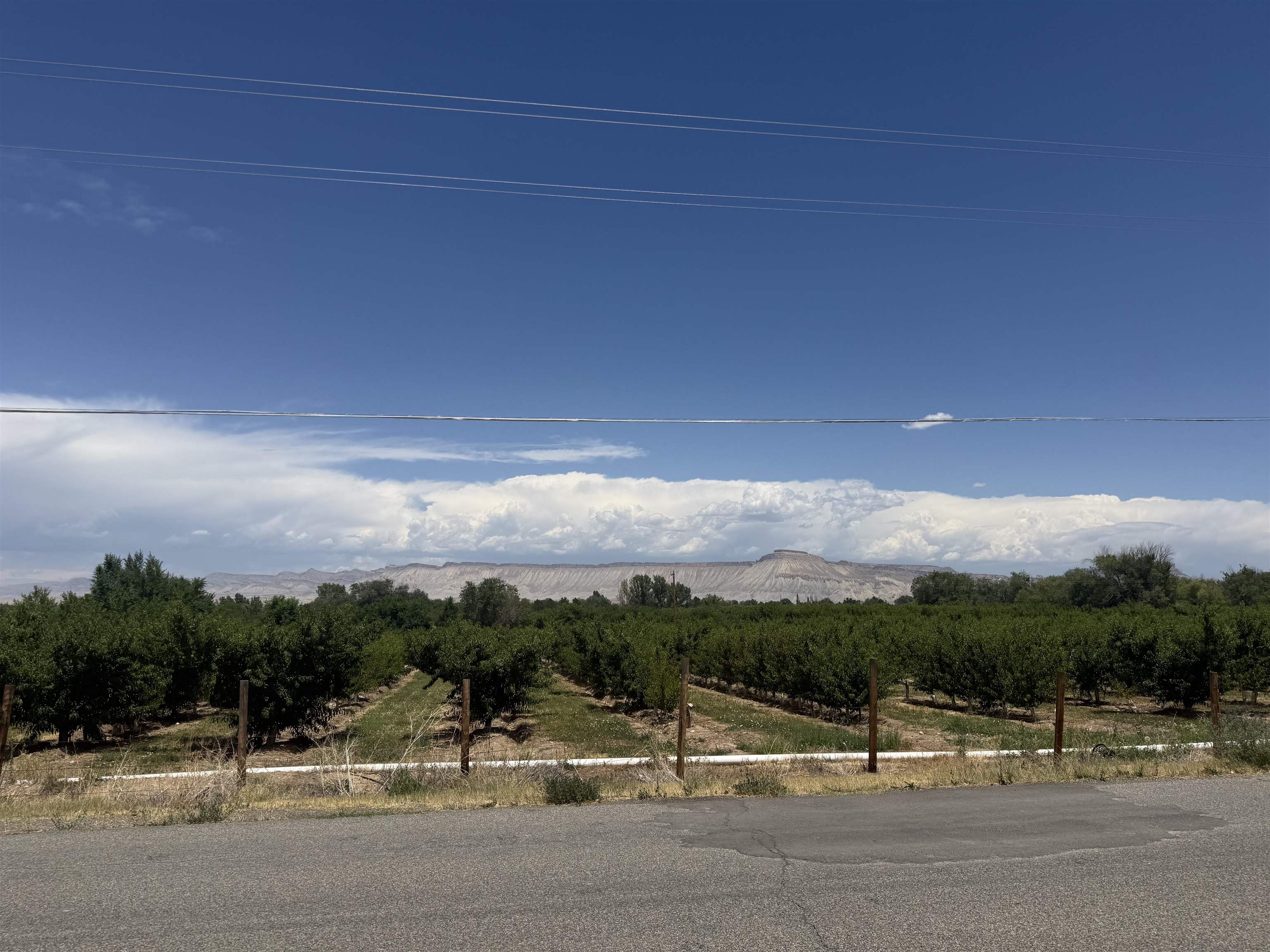 3255 B 1/2 Road Property Photo 4