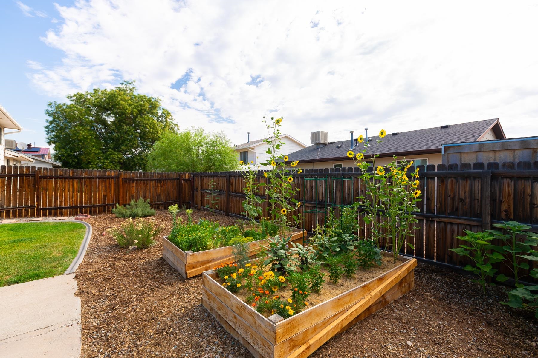 576 31 3/4 Road Property Photo 37
