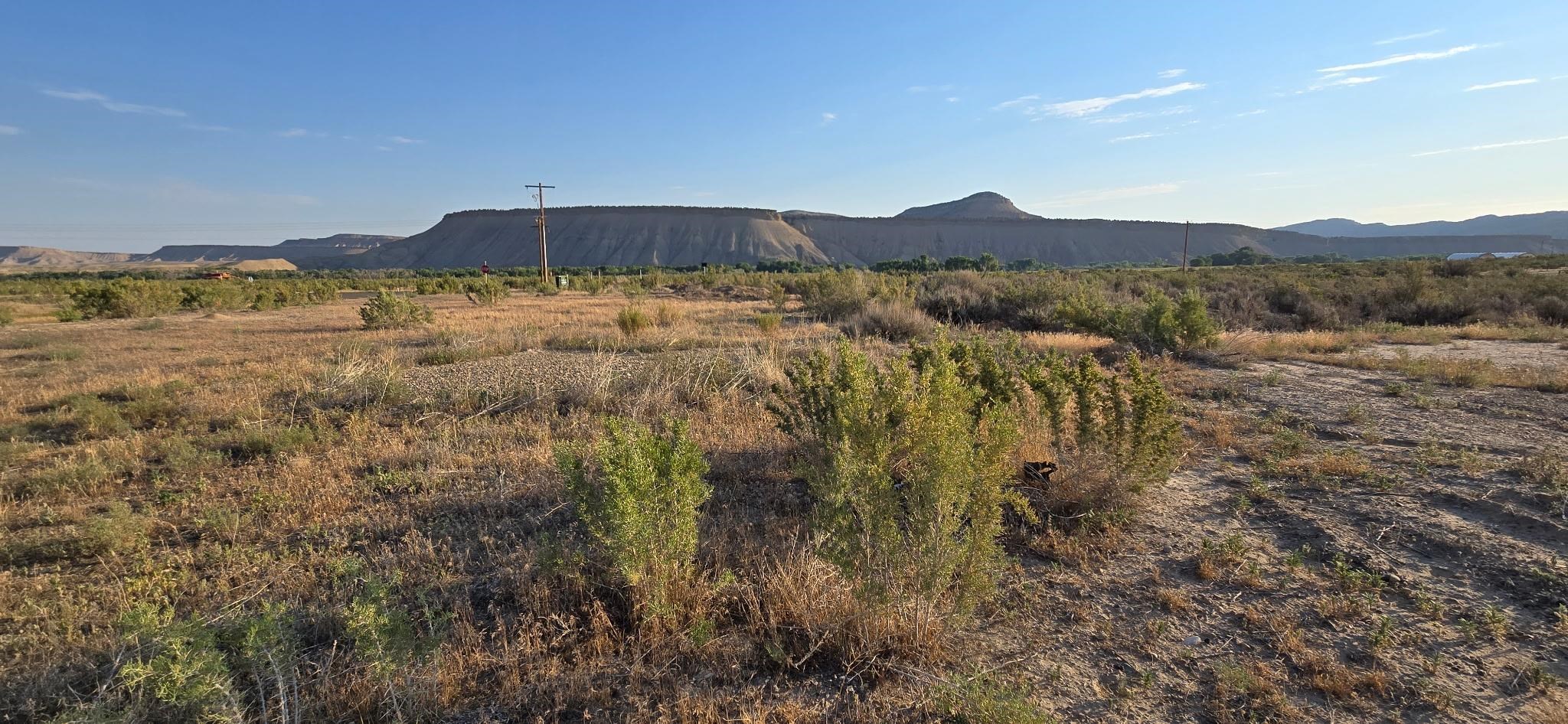 2859 Shale Drive Property Photo 1