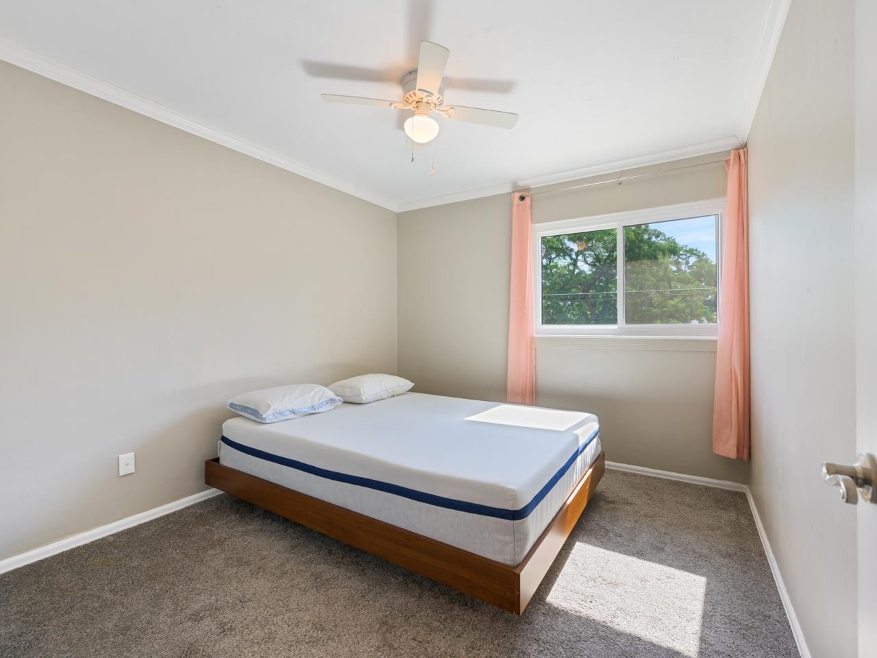 527 23 Road Property Photo 29