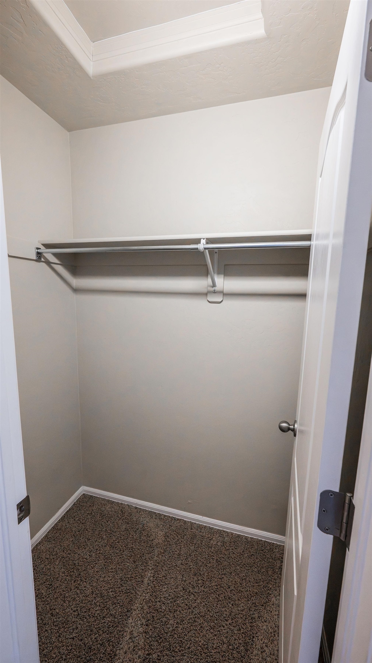 2486 Brookwillow Loop Property Photo 15