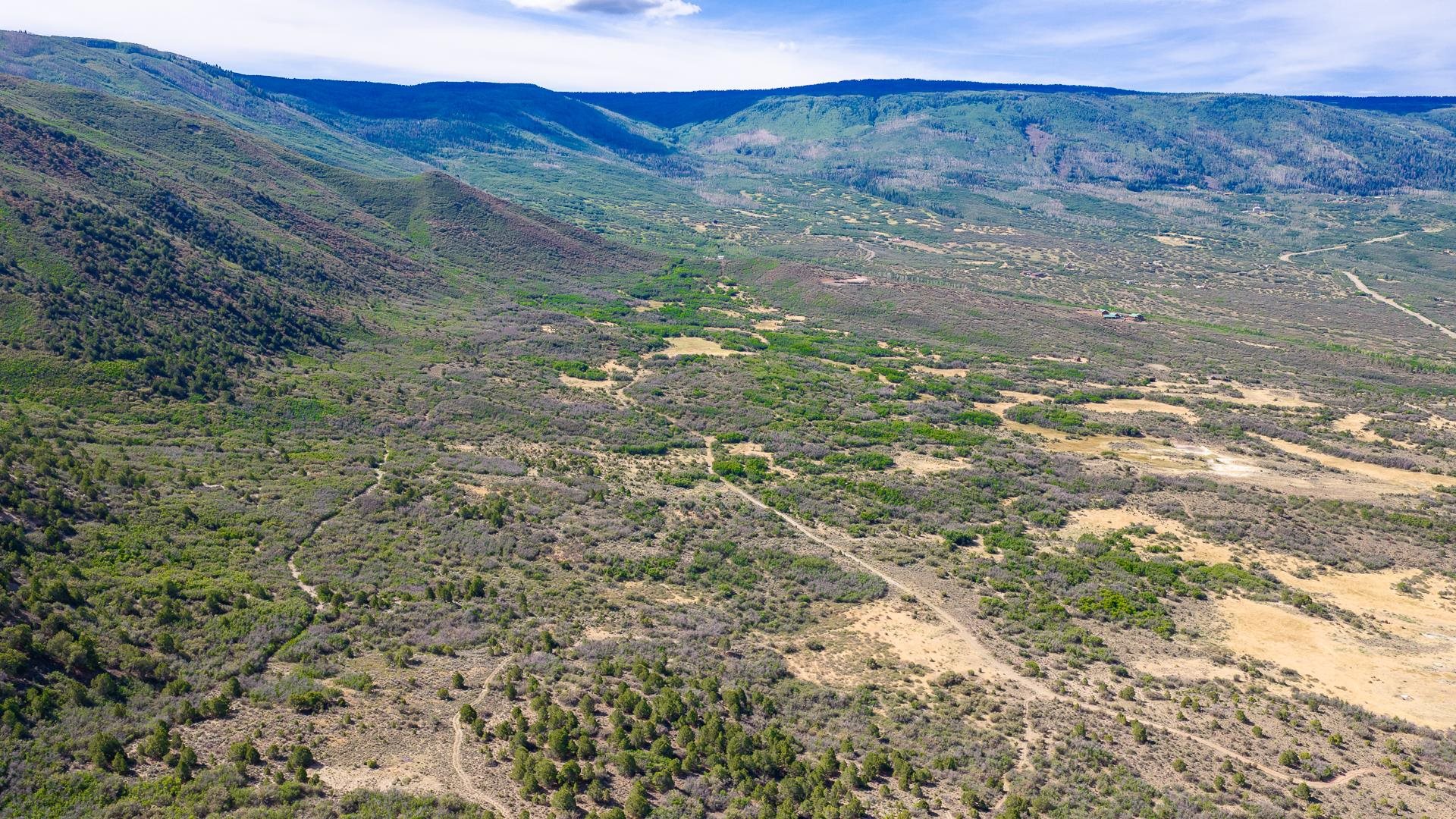 Tbd Coon Creek Road Property Photo 3