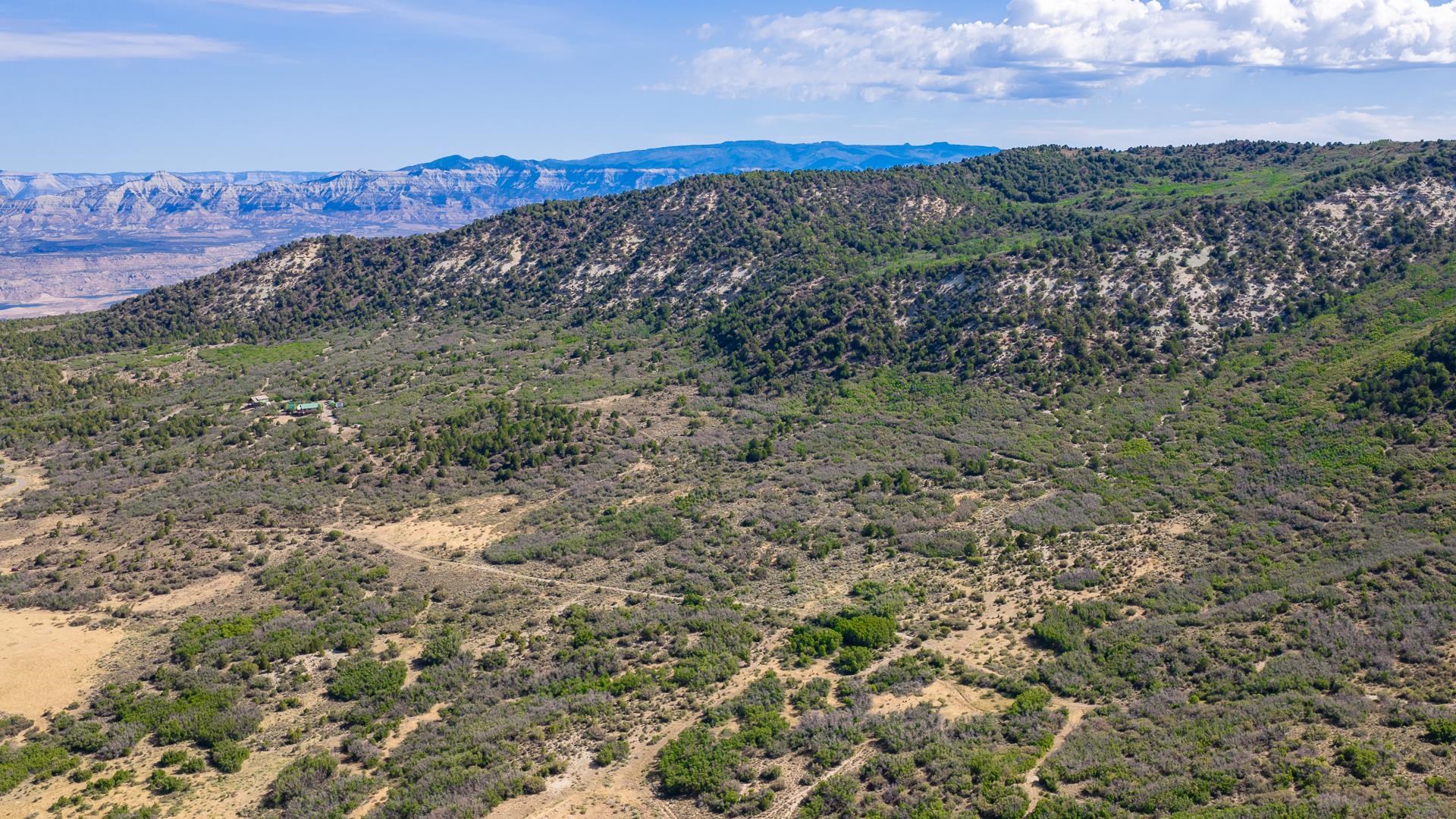 Tbd Coon Creek Road Property Photo 4