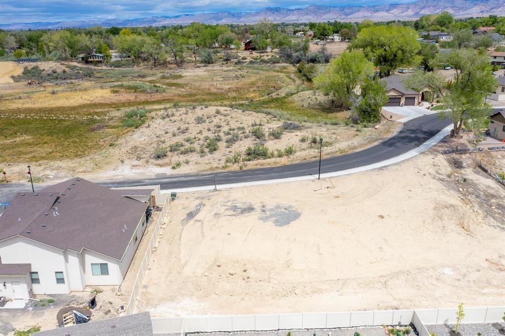 2521 Woody Creek Drive Property Photo 4