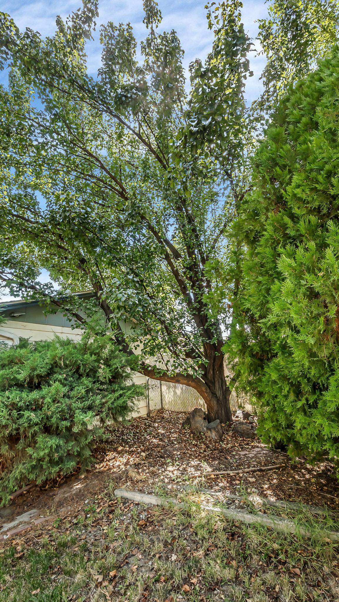 2832 Texas Avenue Property Photo 20