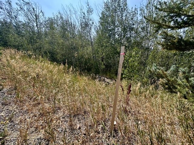 Tdb Oak Street Property Photo 16