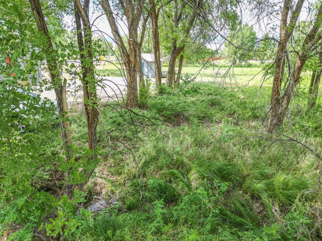 701 Highway 50 Property Photo 11