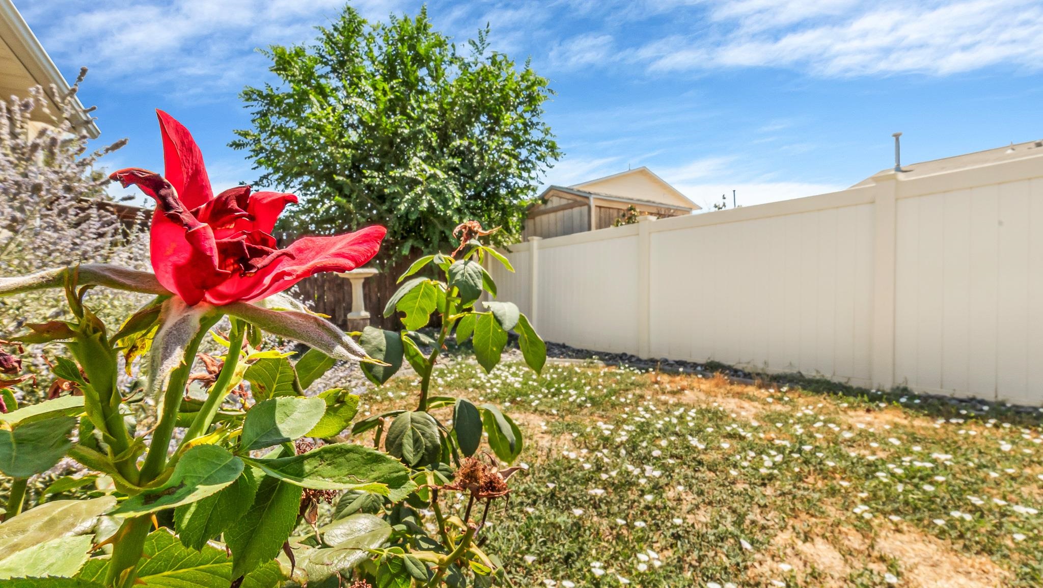378 Kathleen Circle Property Photo 25
