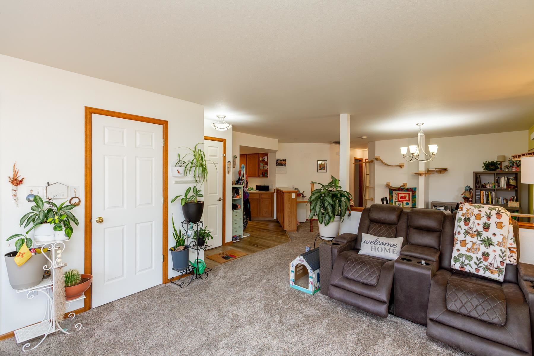 2834 Grand Falls Circle Property Photo 4