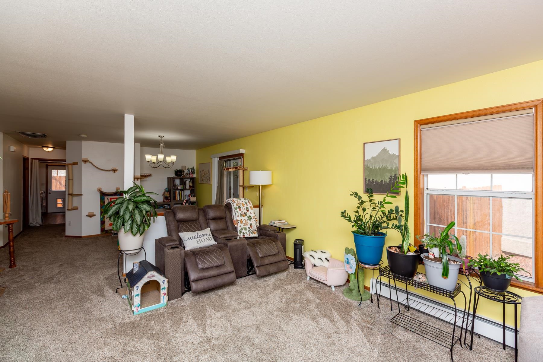 2834 Grand Falls Circle Property Photo 6