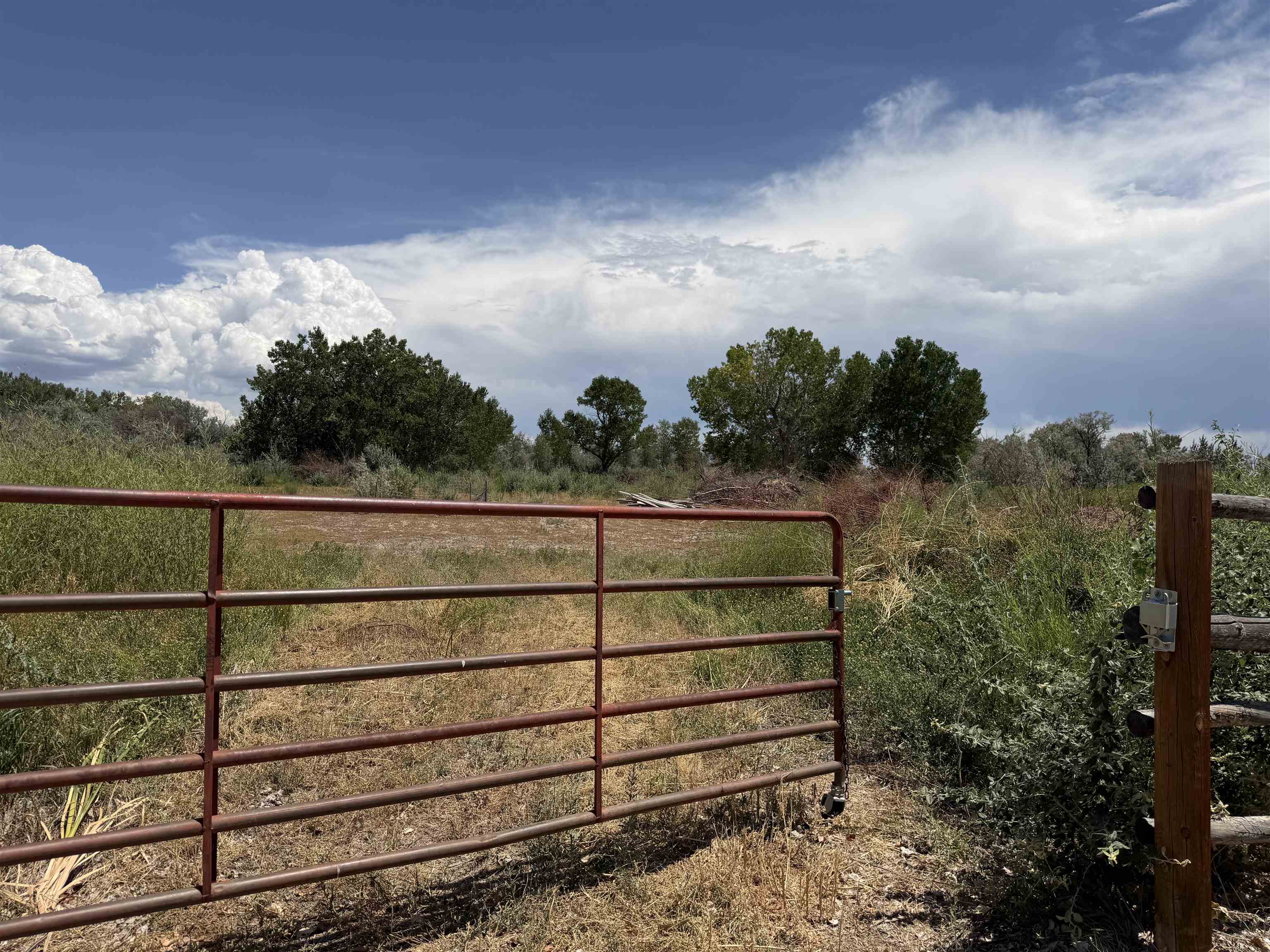 1668 18 Road Property Photo 15