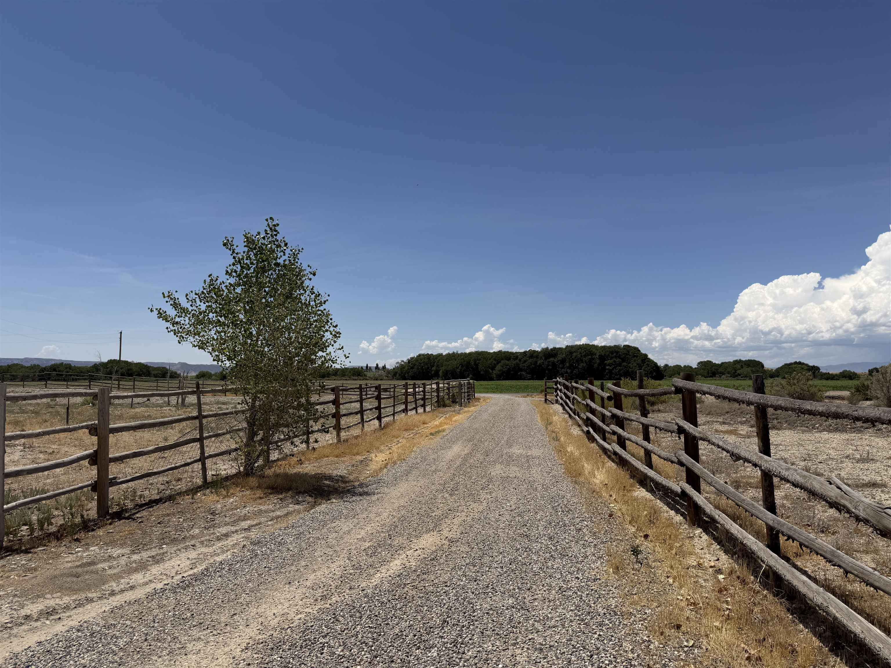 1668 18 Road Property Photo 17