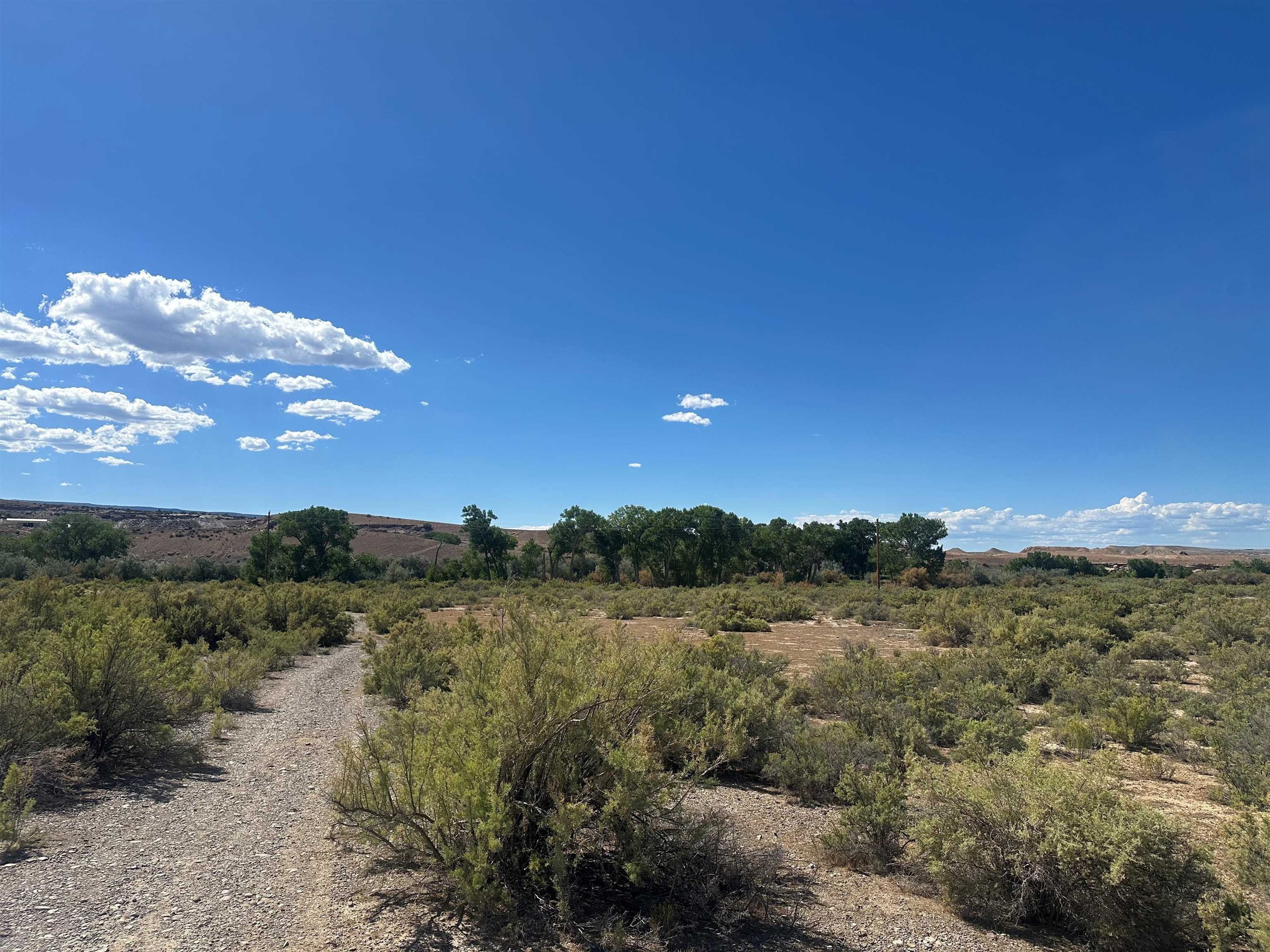 523 Desert Road Property Photo 5