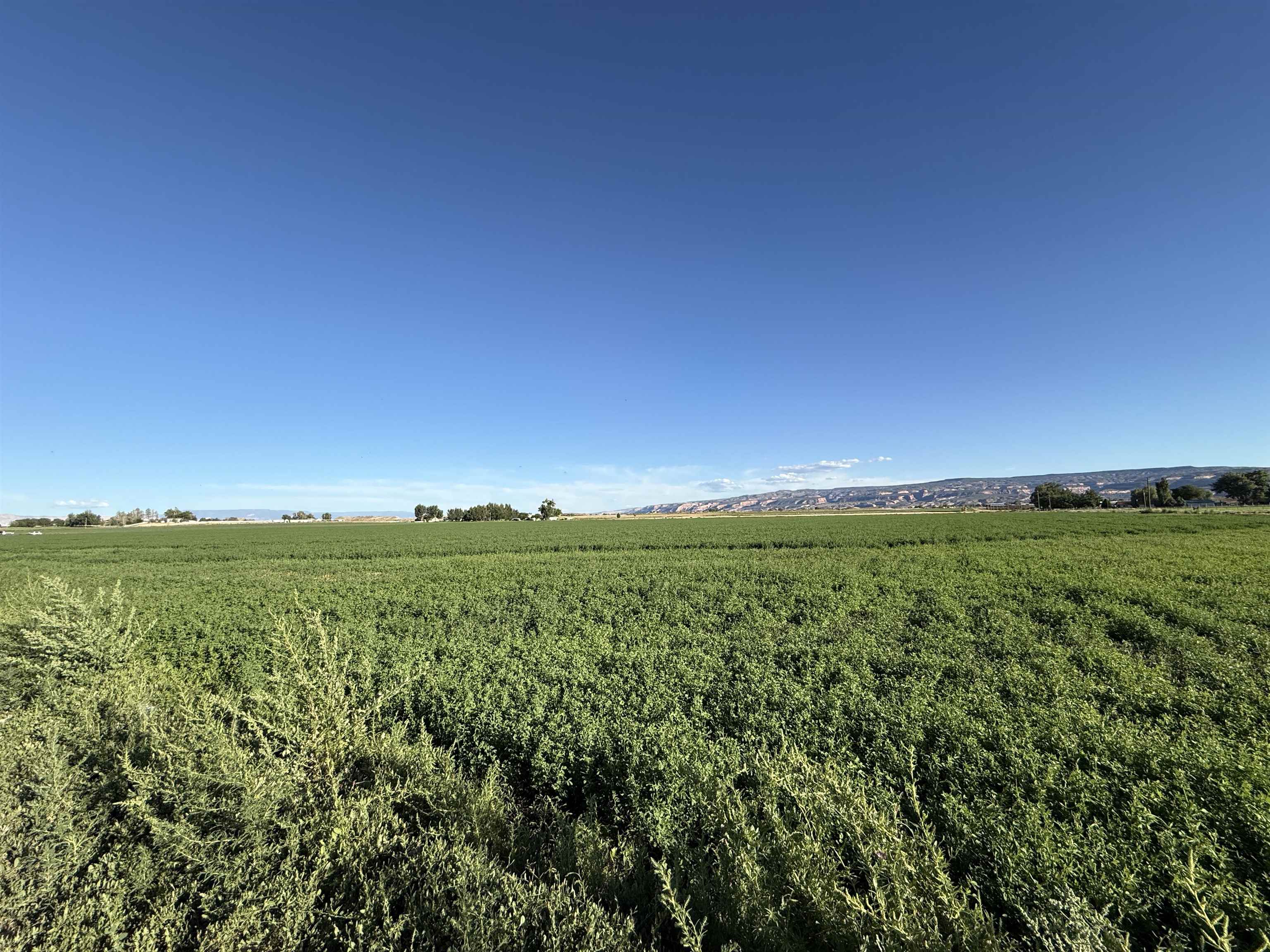1402 O Road Property Photo 4