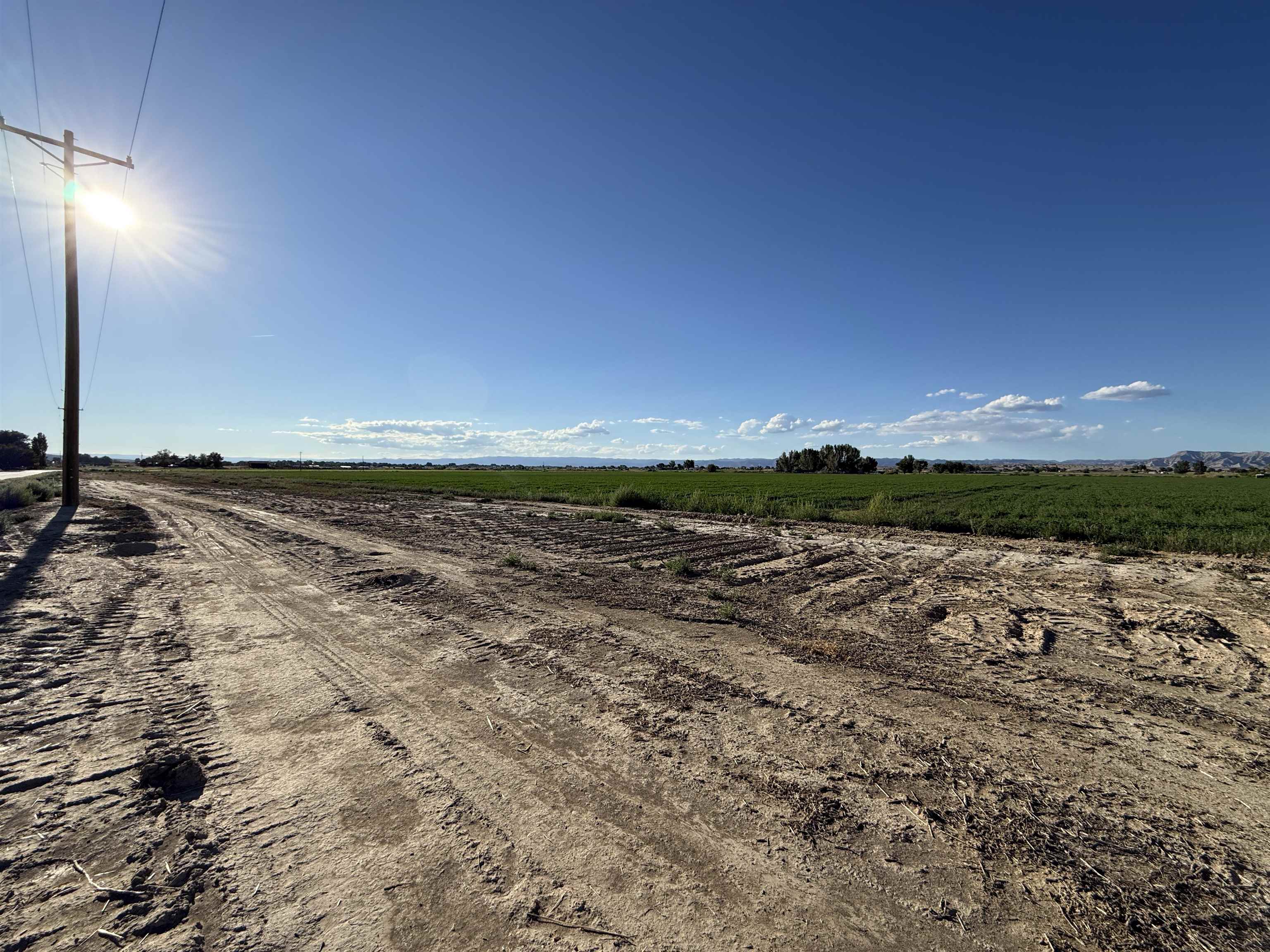1402 O Road Property Photo 7