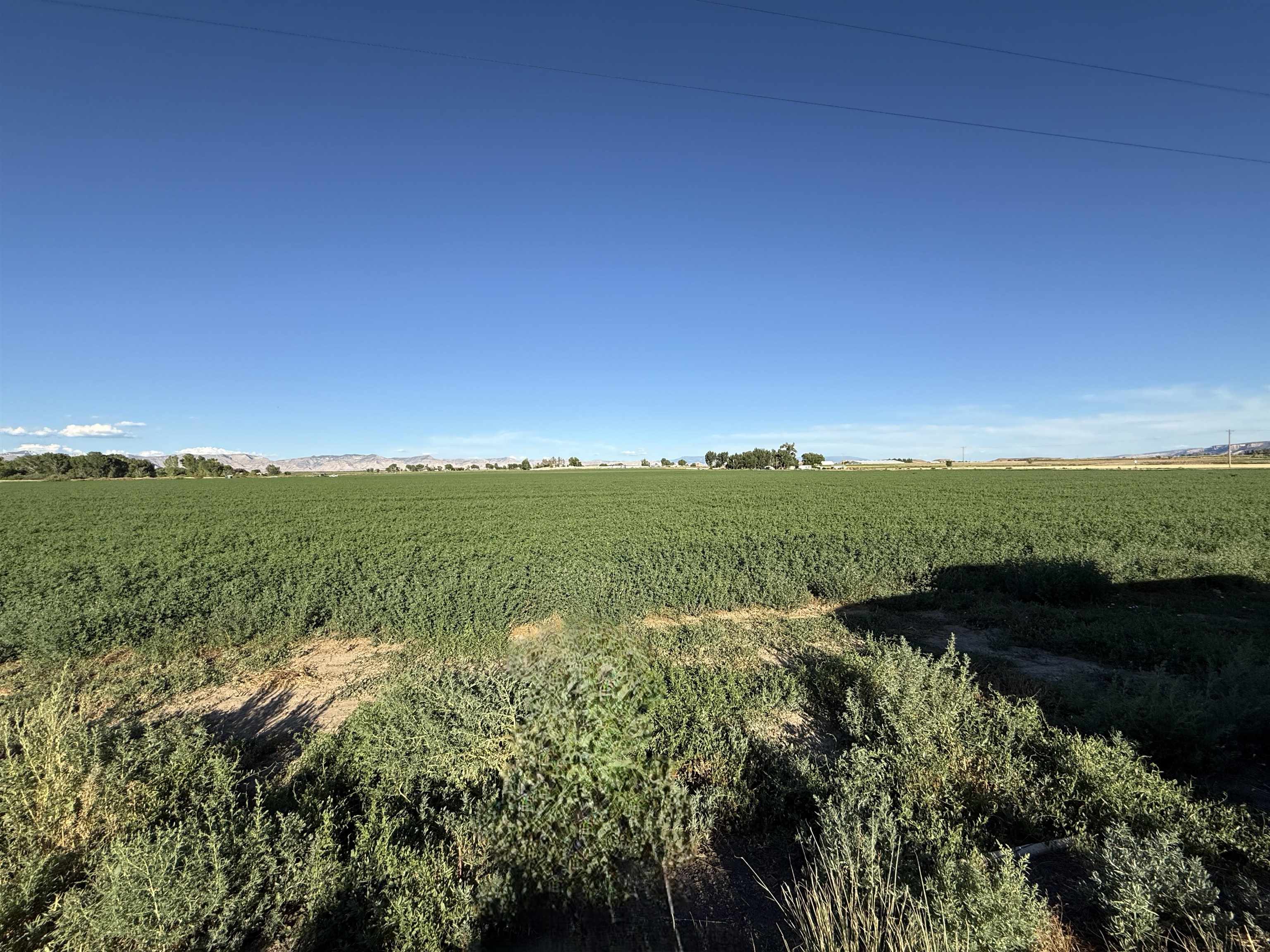1402 O Road Property Photo 12