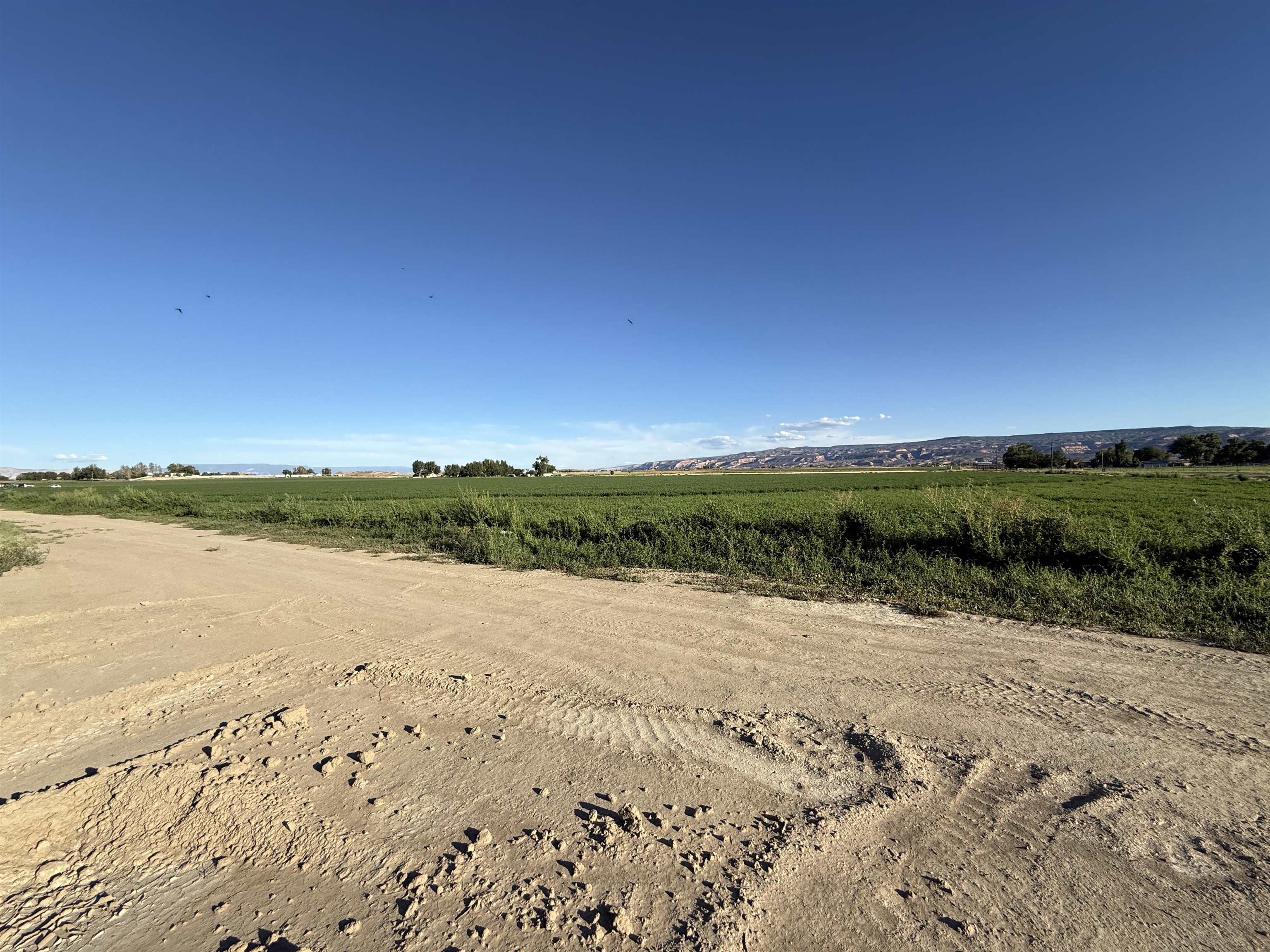 1402 O Road Property Photo 15