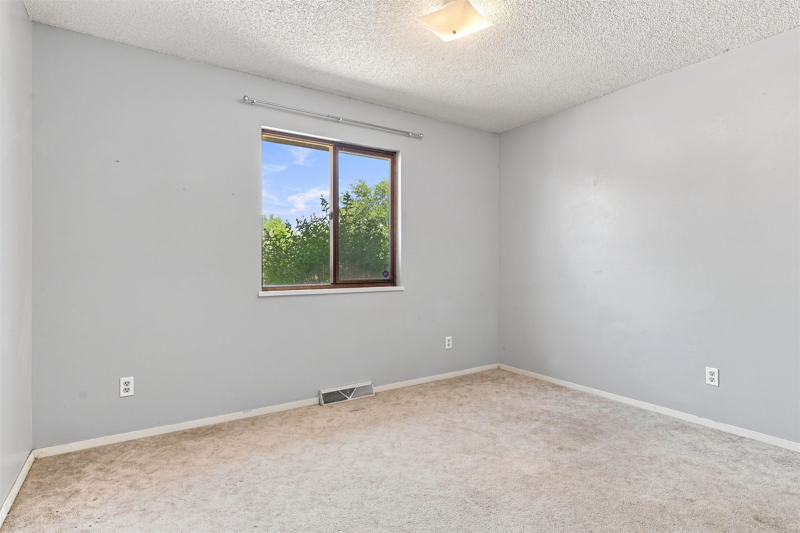 3117 Dry Fork Way Property Photo 12