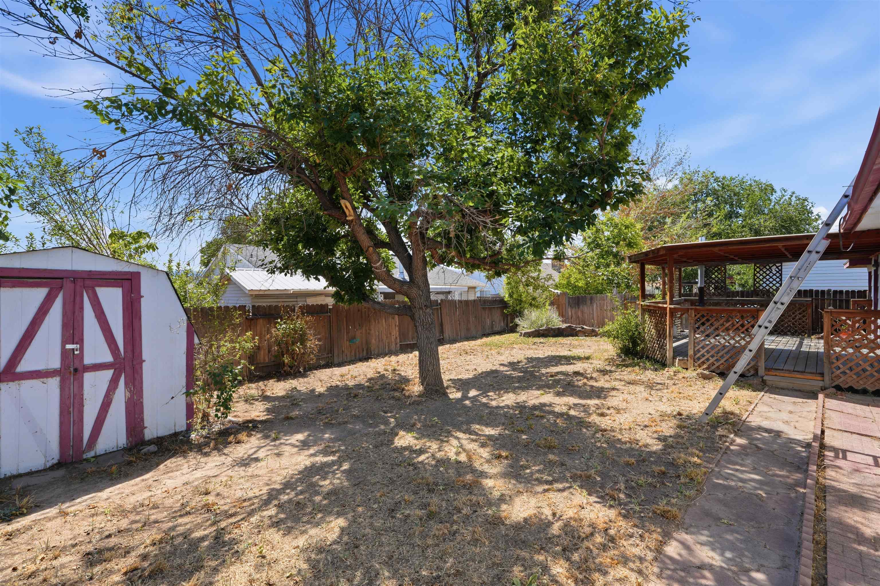 3117 Dry Fork Way Property Photo 14