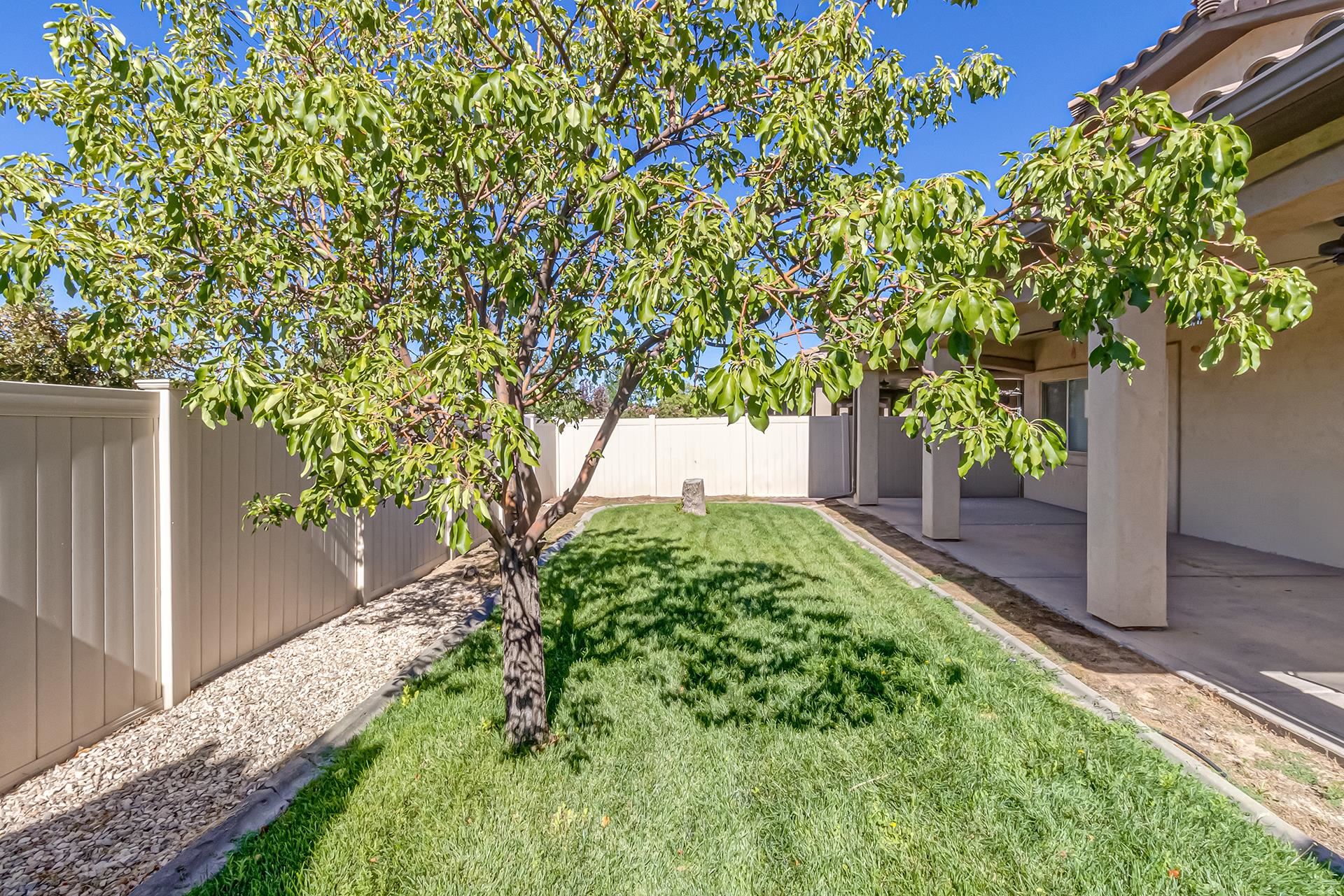 2841 Kelso Mesa Drive Property Photo 25