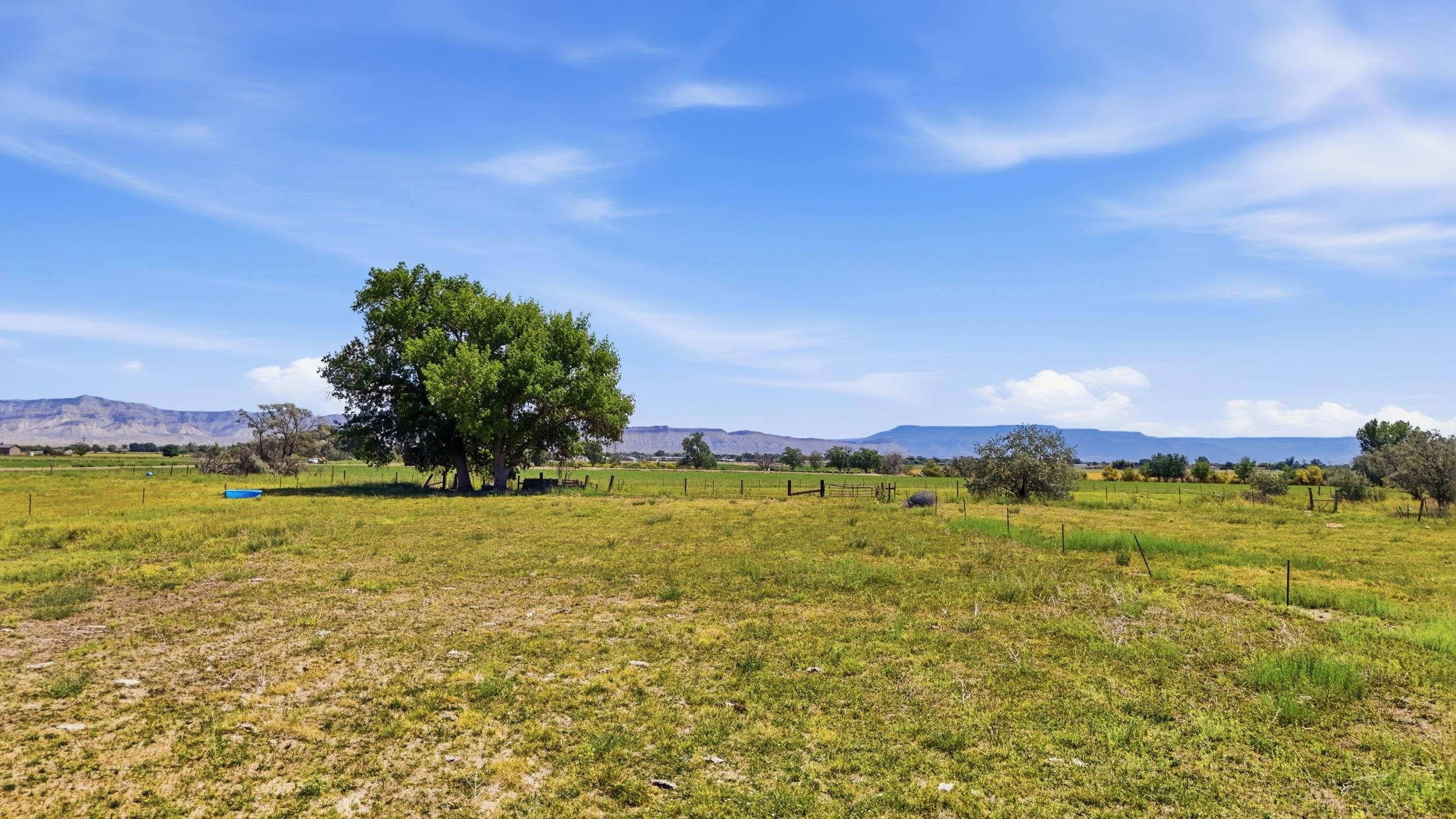 1130 20 Road Property Photo 36