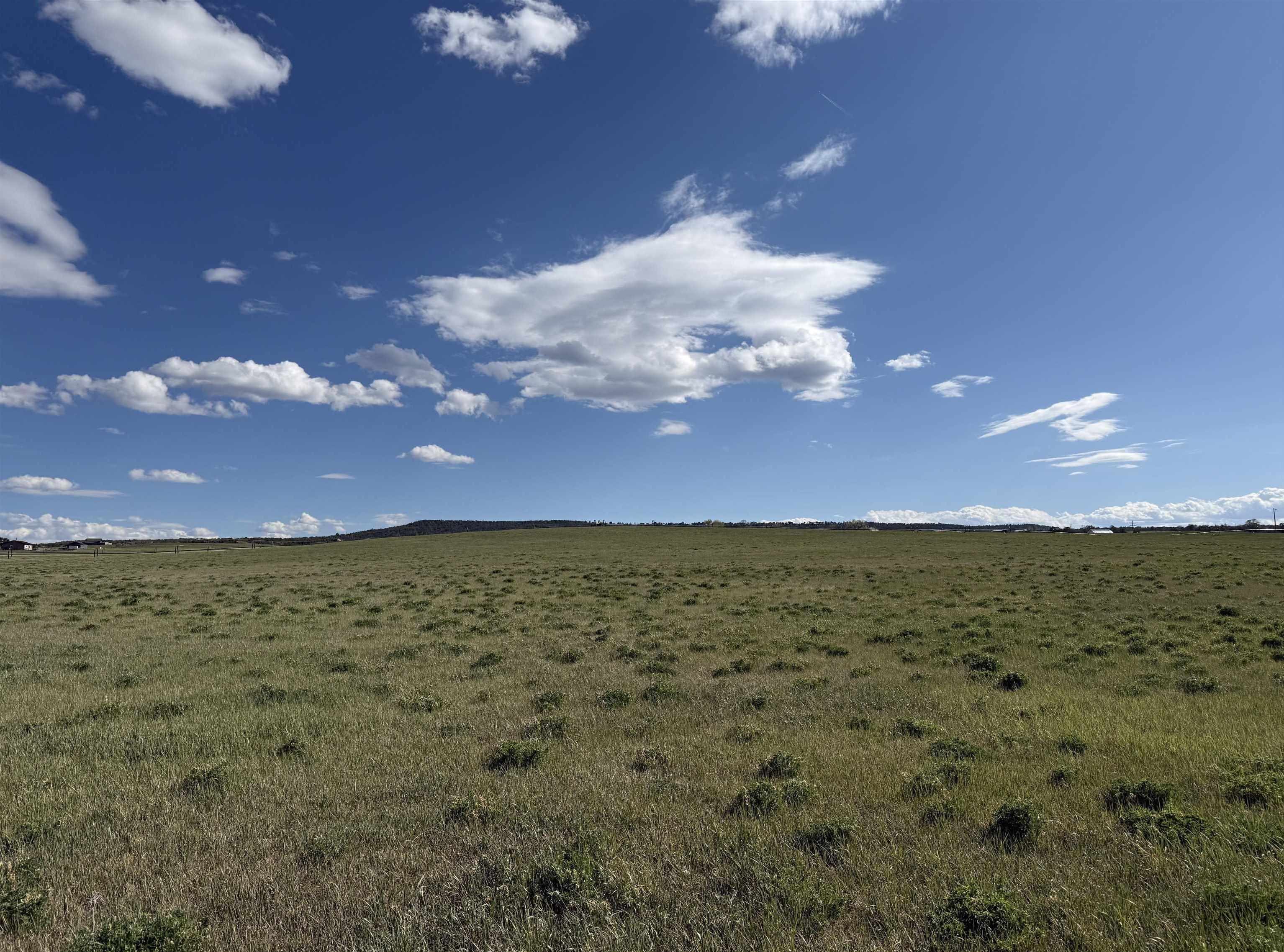 38832 Fruitland Mesa Road Property Photo 3