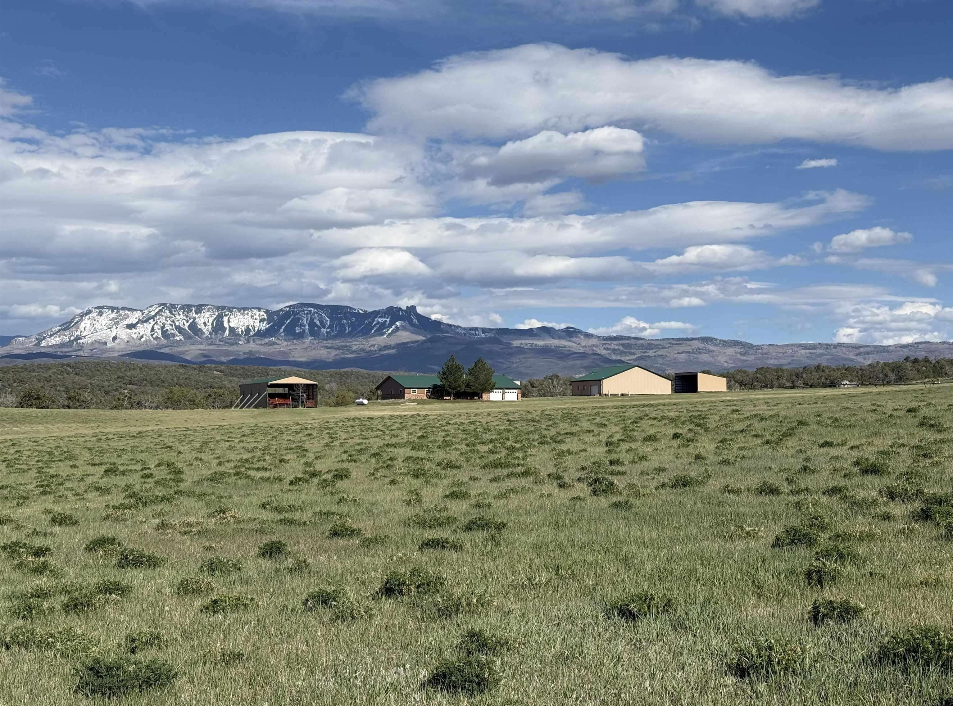 38832 Fruitland Mesa Road Property Photo 25