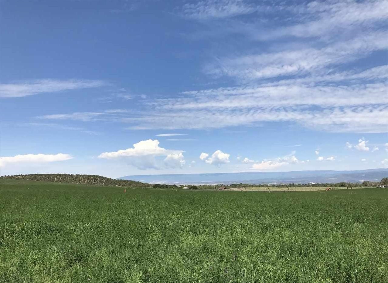 38832 Fruitland Mesa Road Property Photo 33