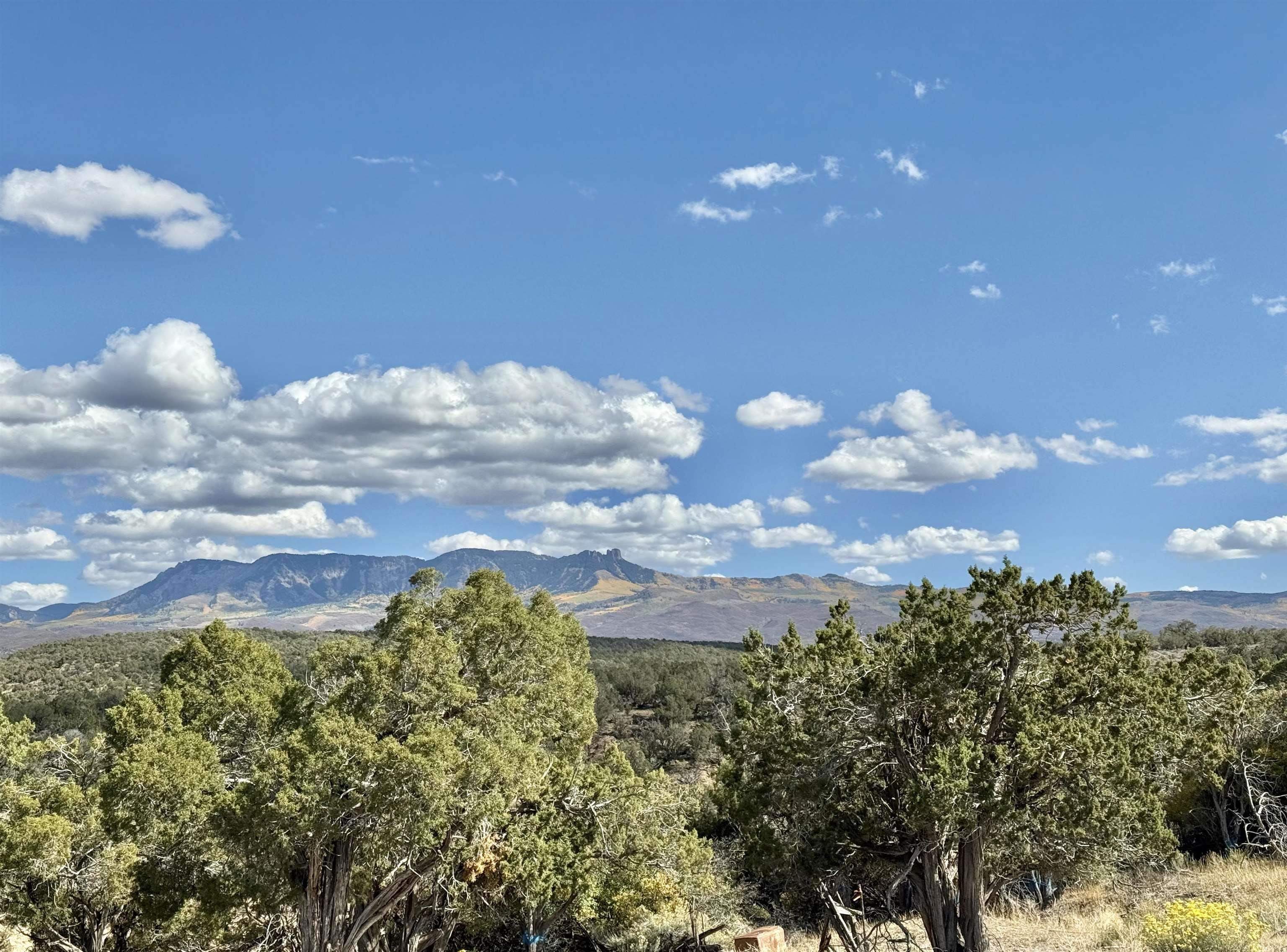 38832 Fruitland Mesa Road Property Photo 37