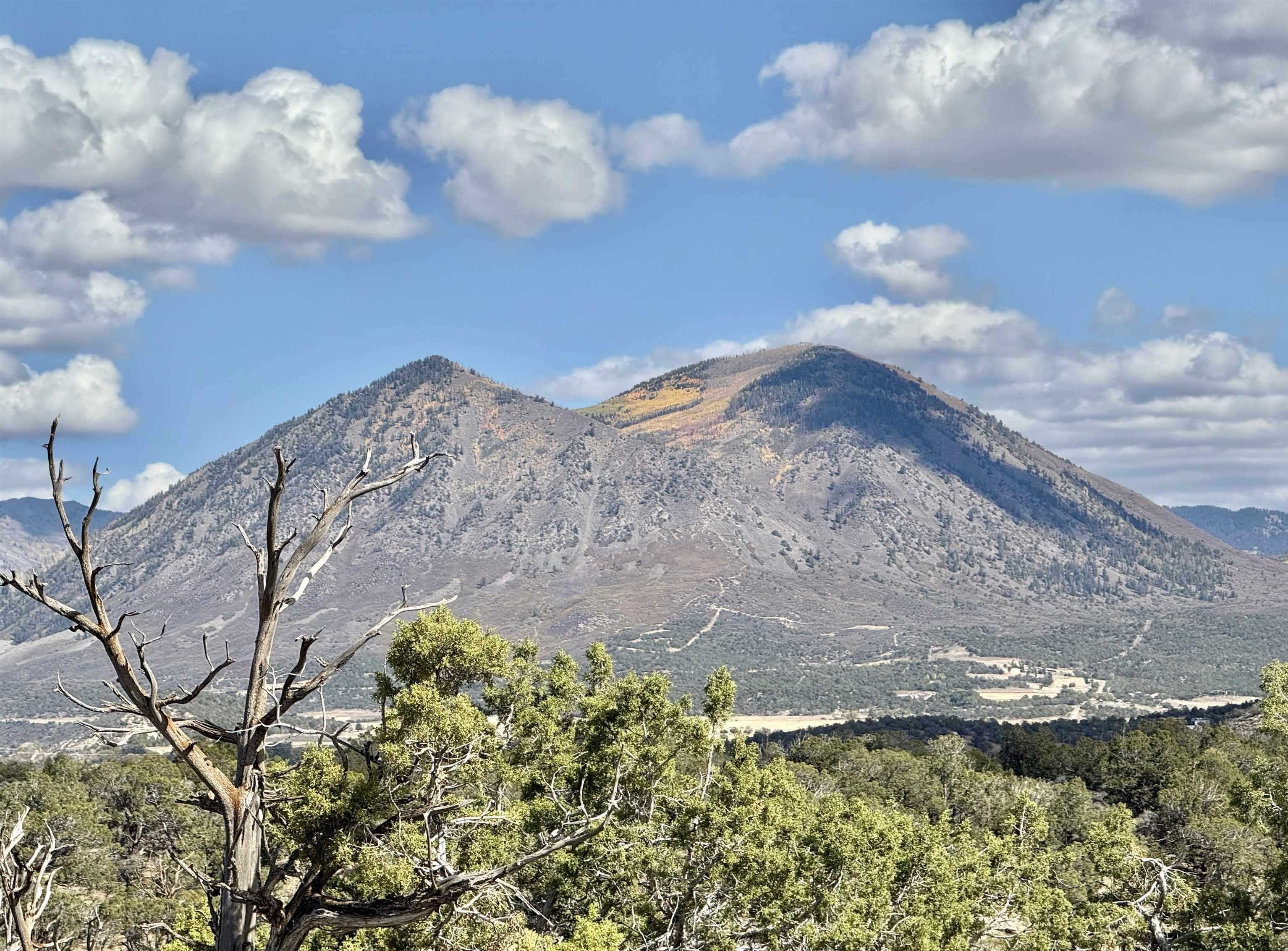 38832 Fruitland Mesa Road Property Photo 41