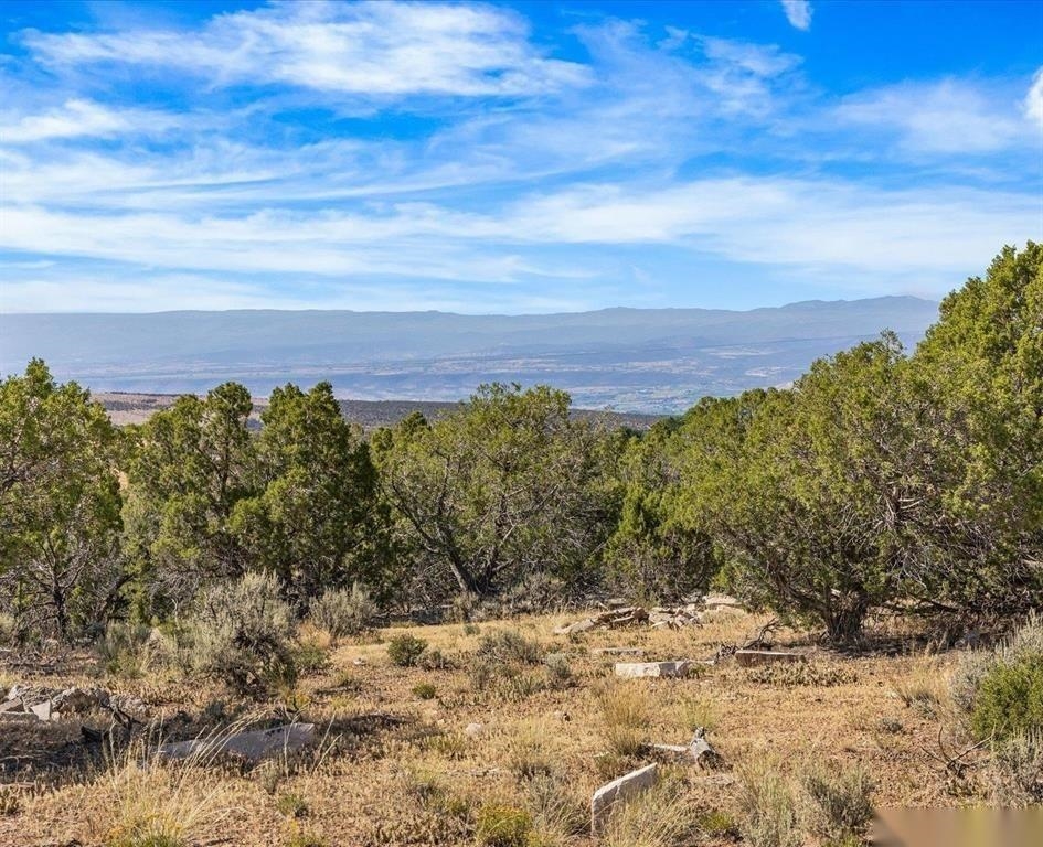 31928 B50 Road Property Photo 40