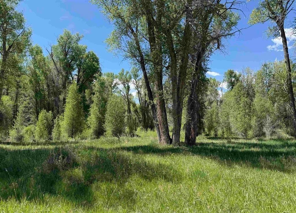 82653 Highway 92 Property Photo 20