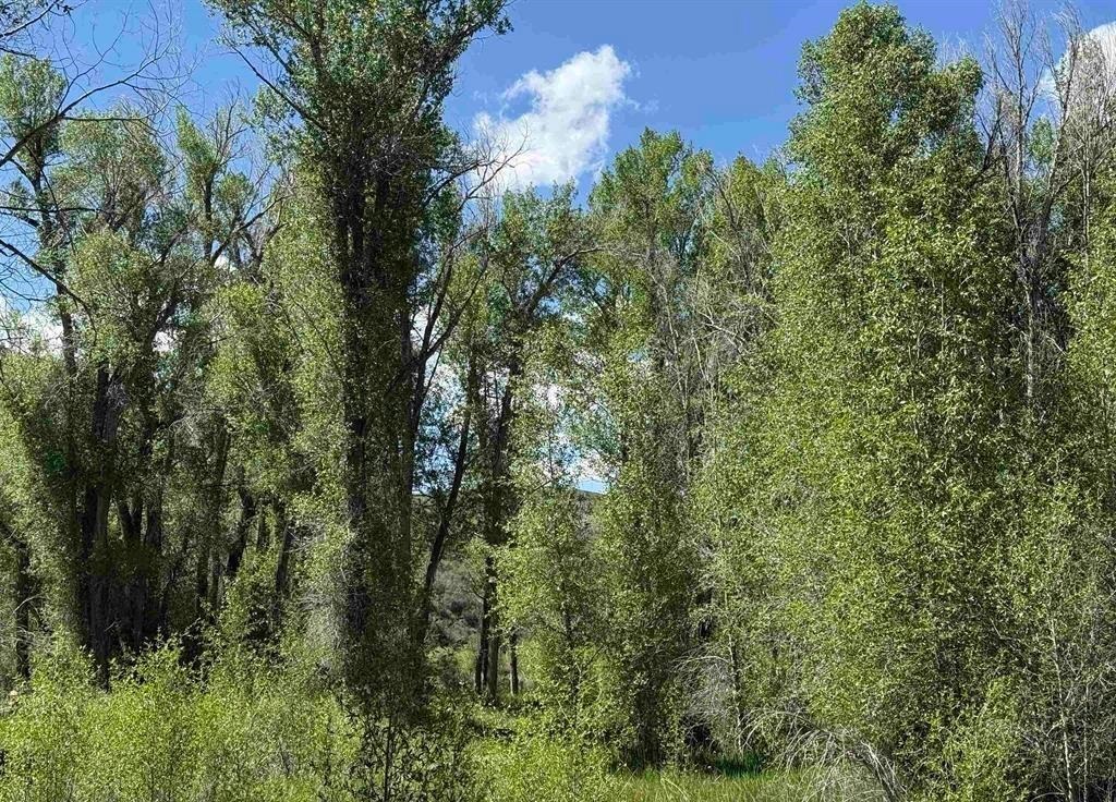82653 Highway 92 Property Photo 37