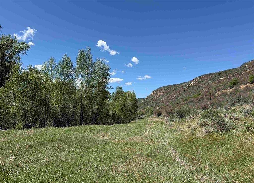 82653 Highway 92 Property Photo 39