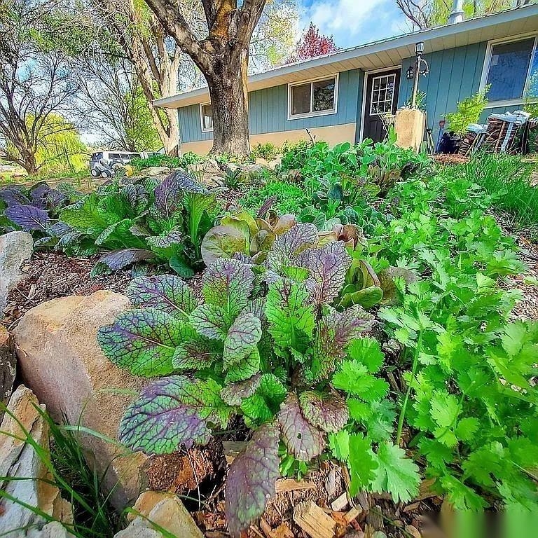 10944 3500 Road Property Photo 26