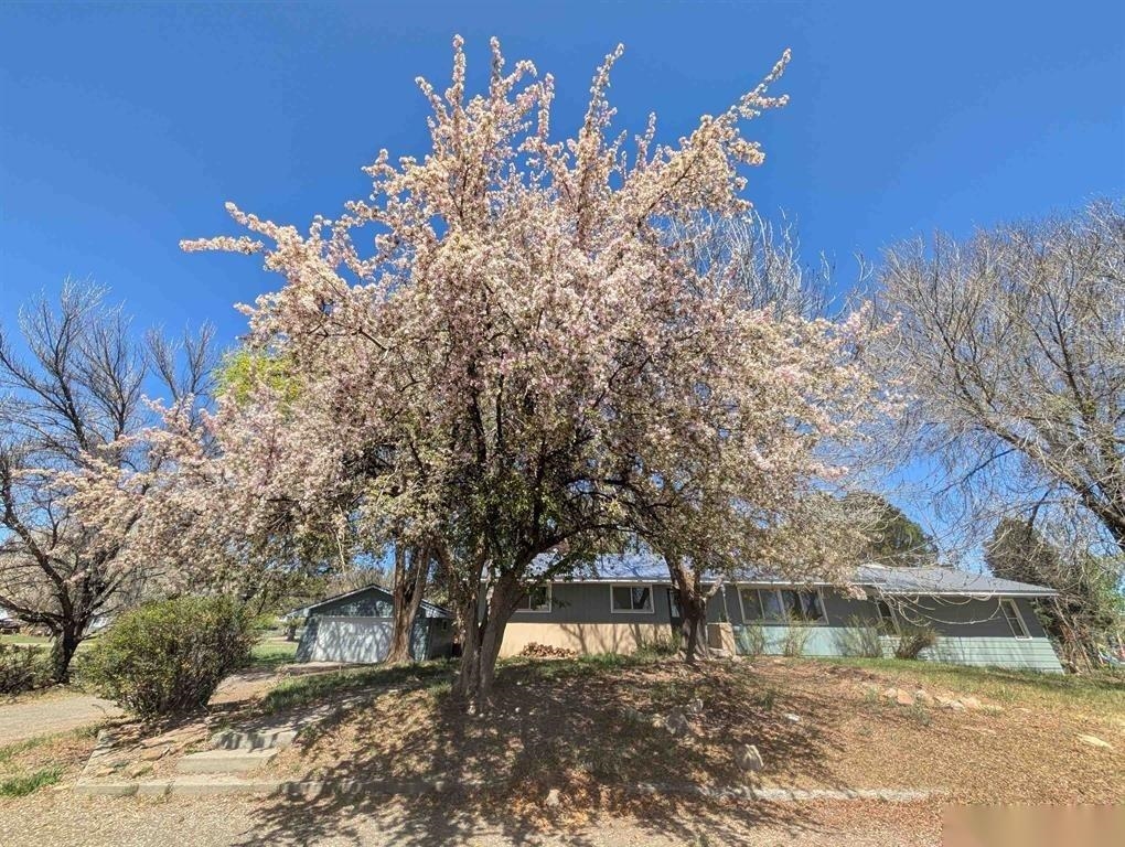 10944 3500 Road Property Photo 38