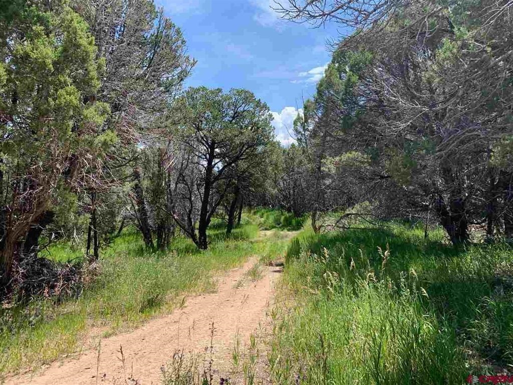 678 3375 Road Property Photo 11