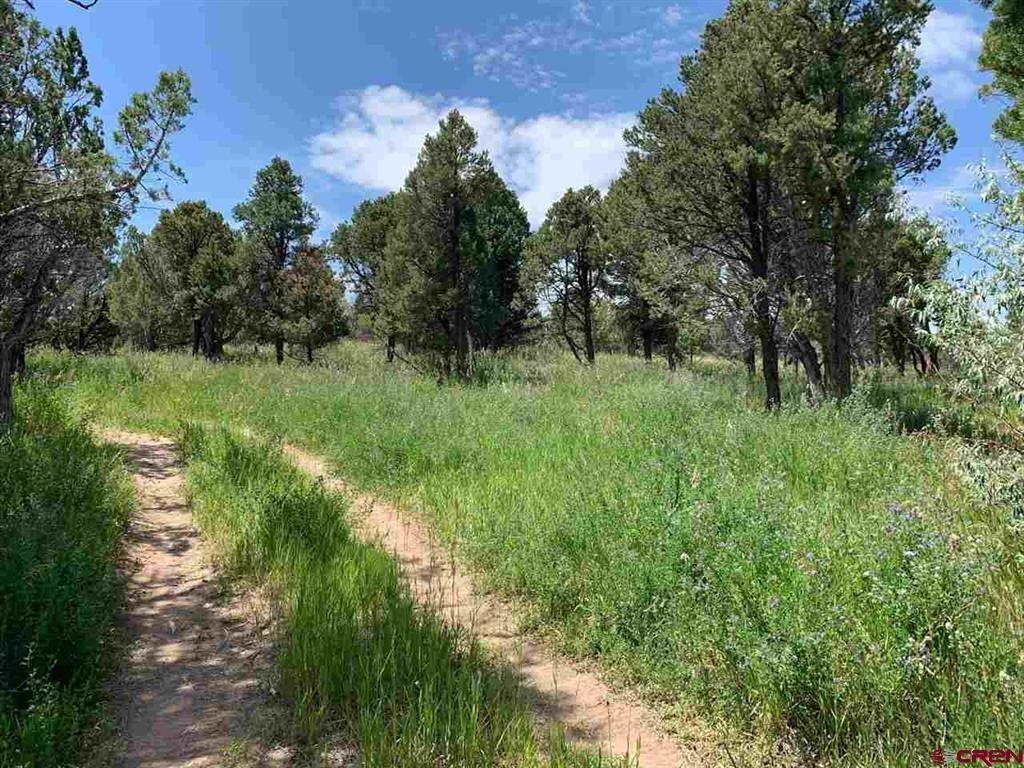 678 3375 Road Property Photo 38