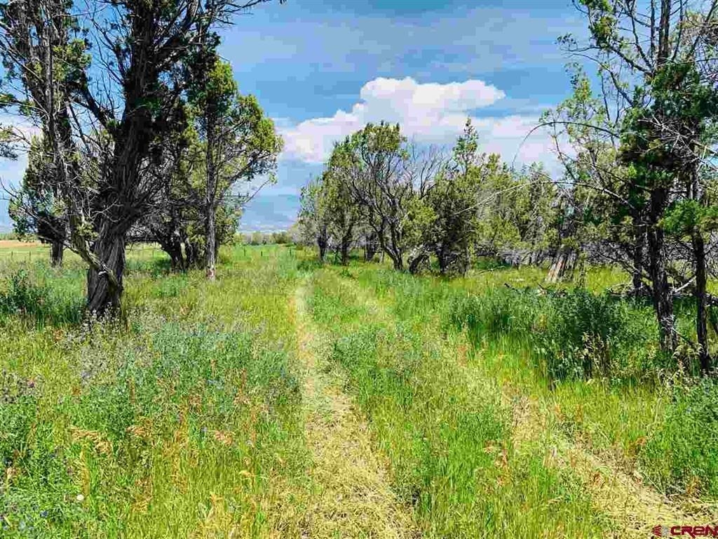 678 3375 Road Property Photo 39