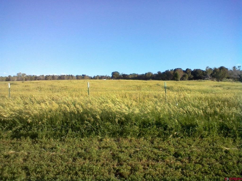 678 3375 Road Property Photo 42