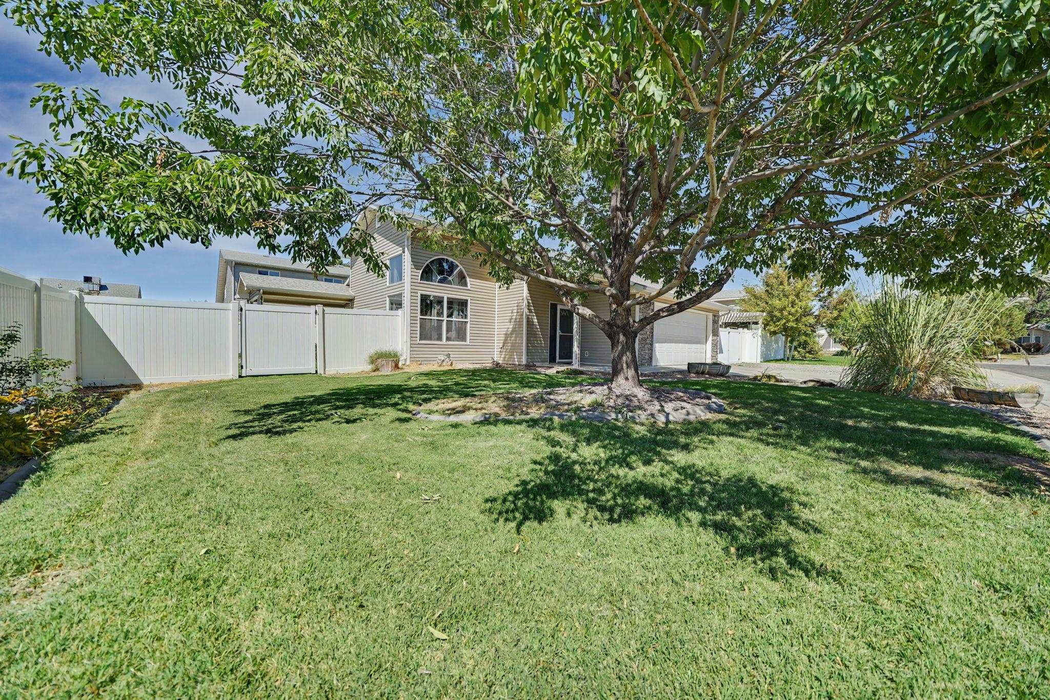 647 Longs Peak Drive Property Photo 3