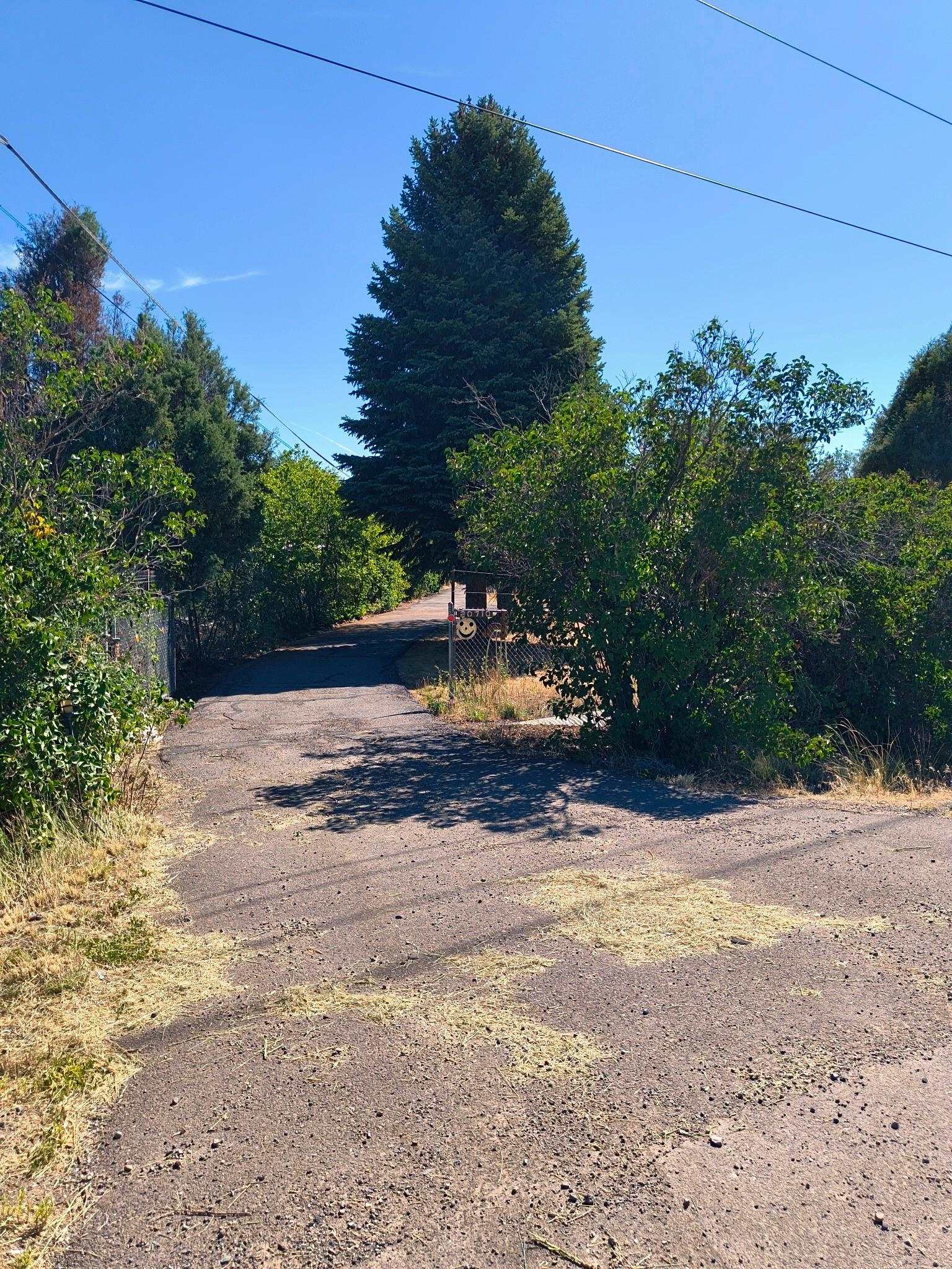 20710 Highway 550 Property Photo 39