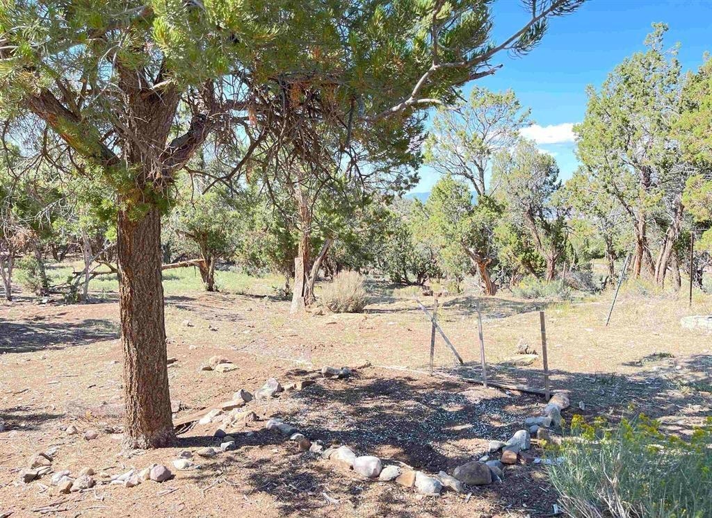 2001 Black Canyon Road Property Photo 34