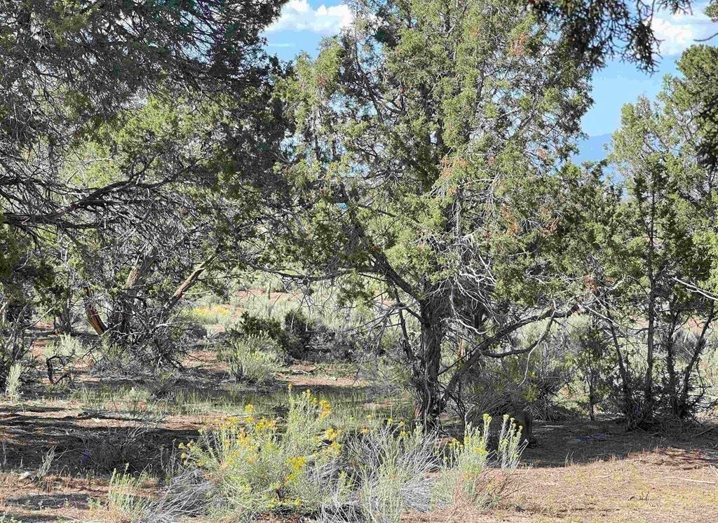 2001 Black Canyon Road Property Photo 35
