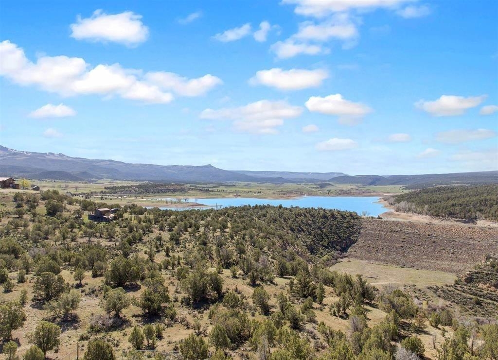 40331 D Road Property Photo 17