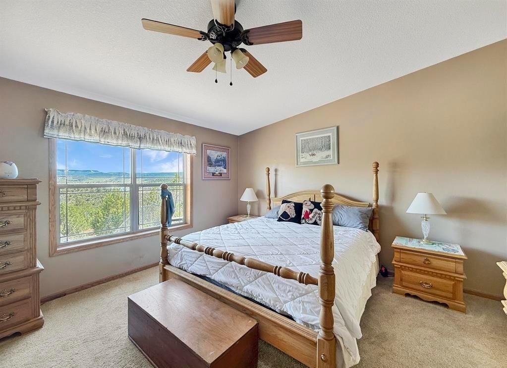40331 D Road Property Photo 36