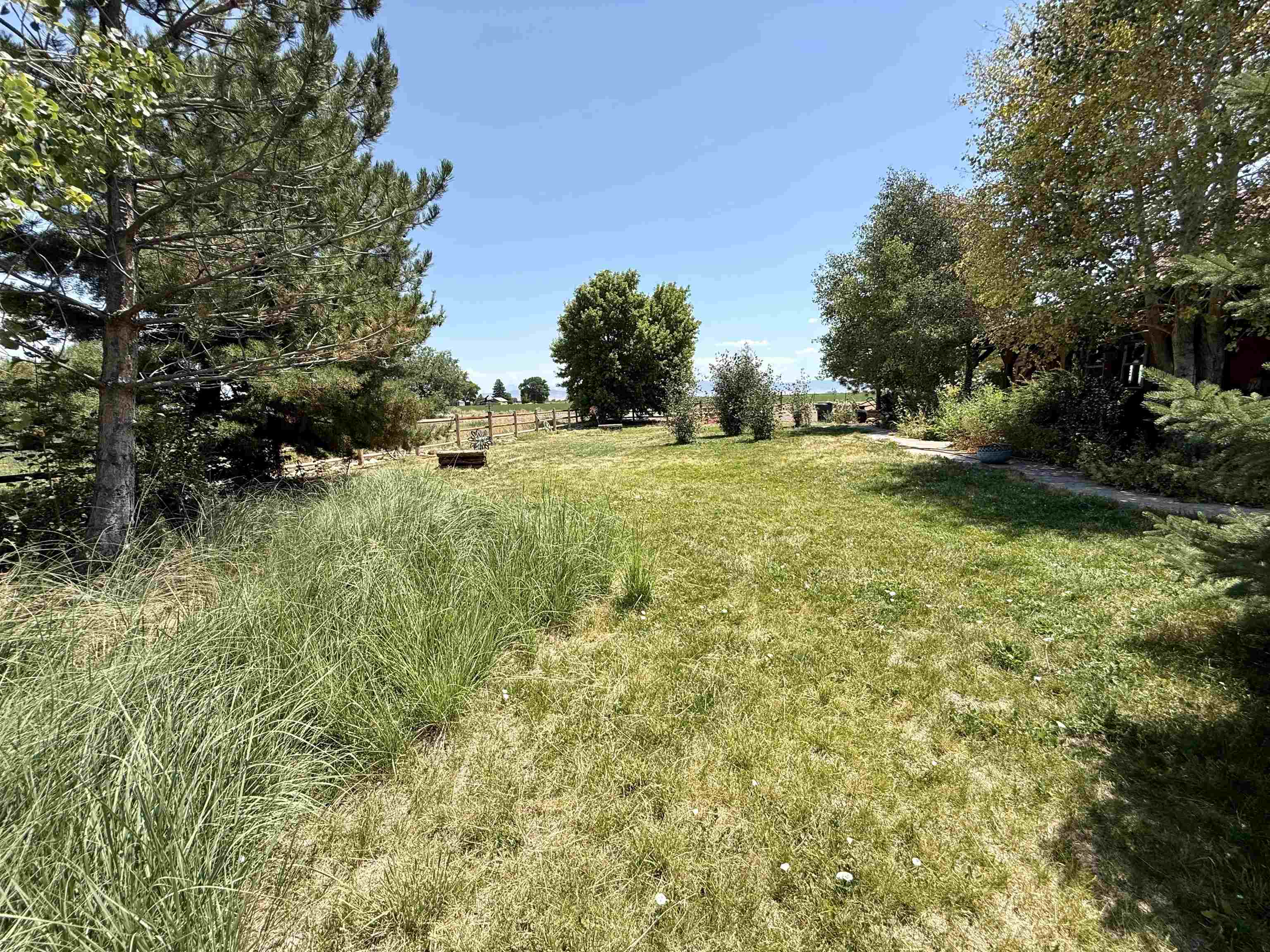 52494 Carnation Road Property Photo 29